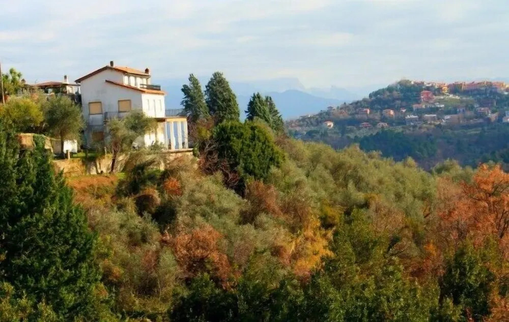 Oliva Azzurra