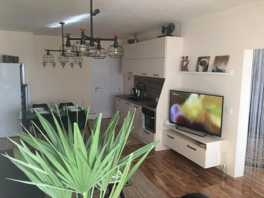 Panorama Apartment Darvenitsa