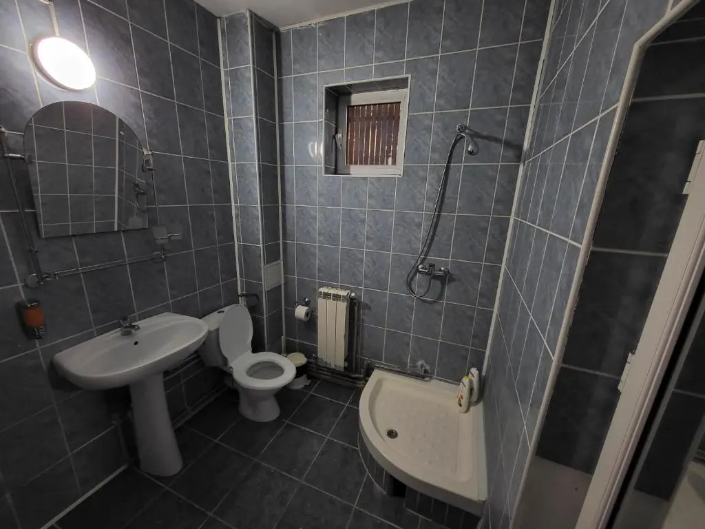 Vila 41 Busteni