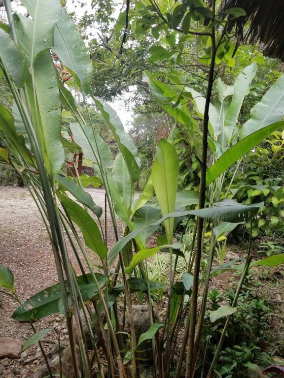 Samai Lodge Holistic Living