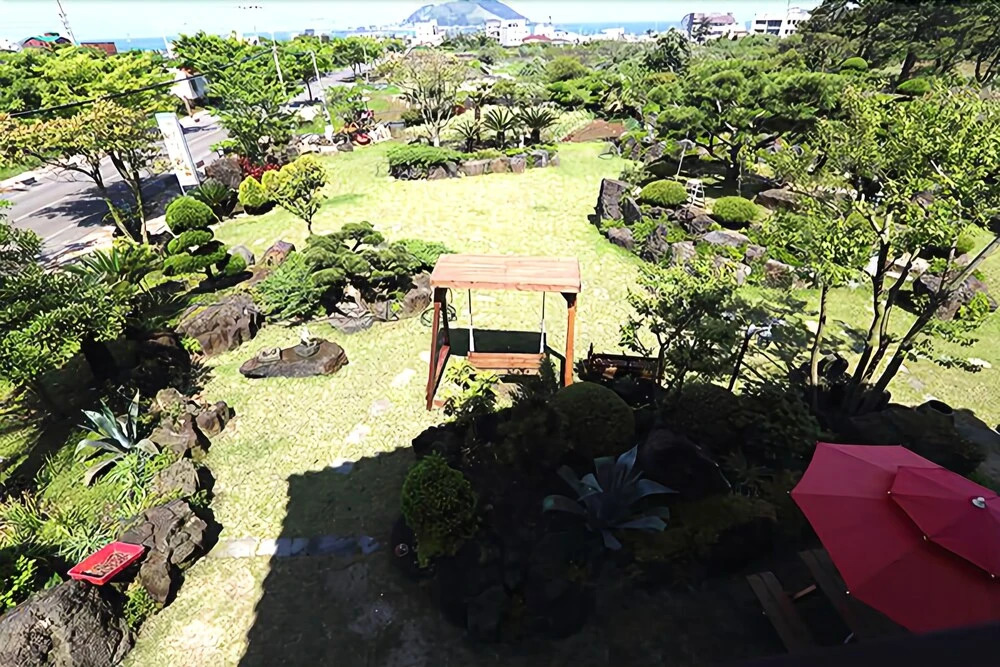 Jeju Sunflower Pension