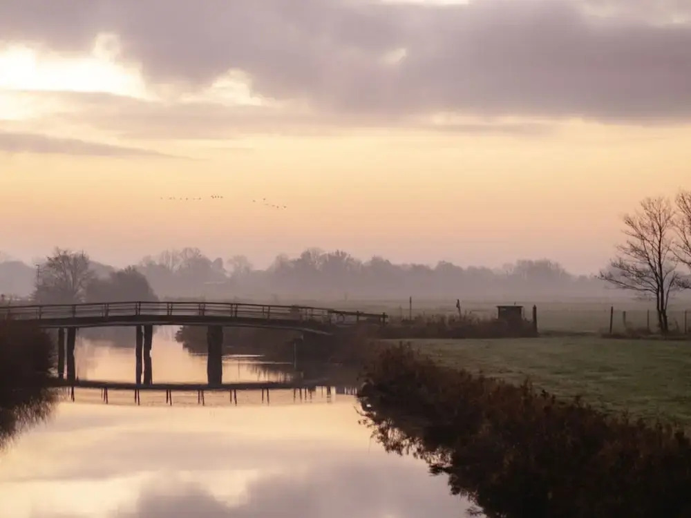 Ostfriesland to Huus
