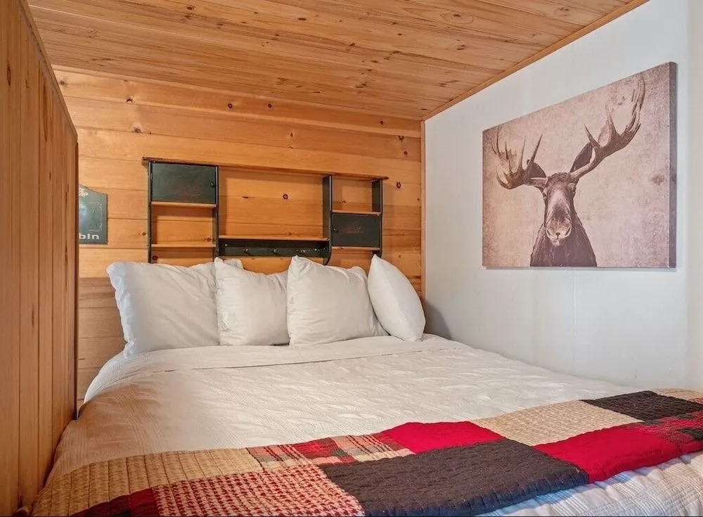 The Bucking Moose