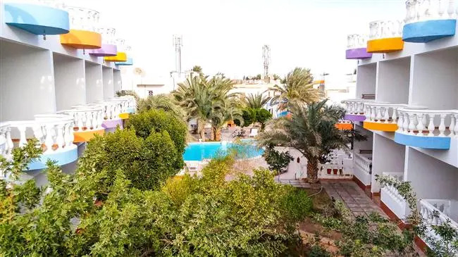 Octopus Hotel