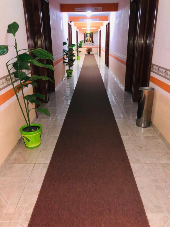 Hotel Villa De Las Flores