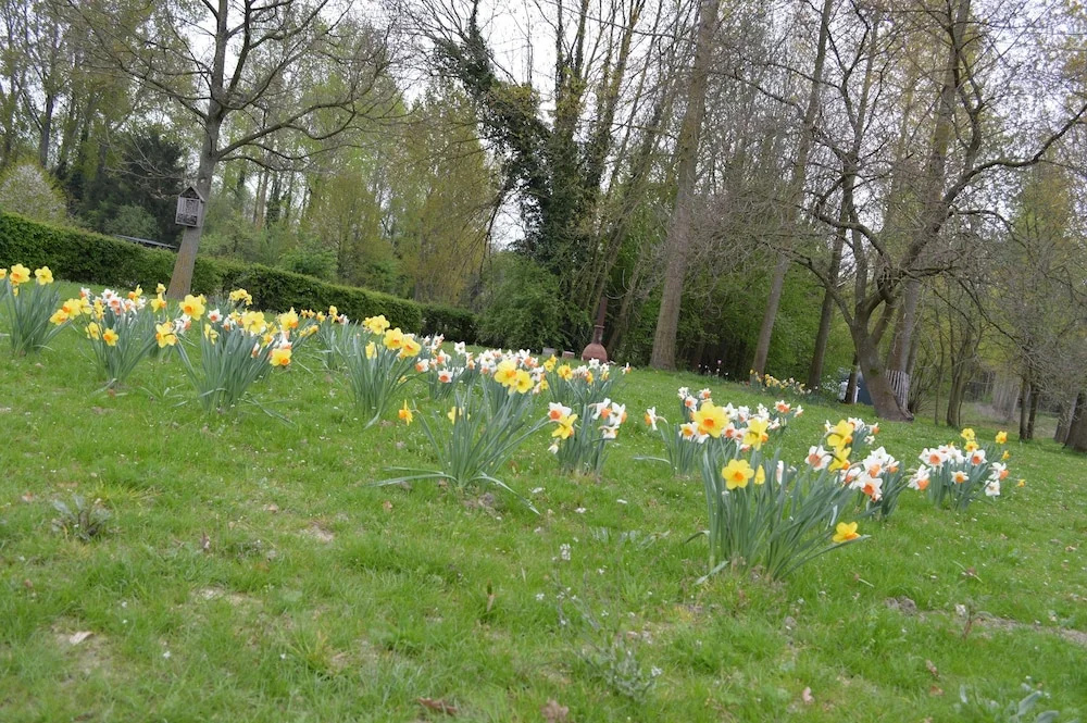Vakantiewoning De Pluktuin