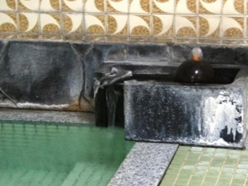 Sagaeya Ryokan