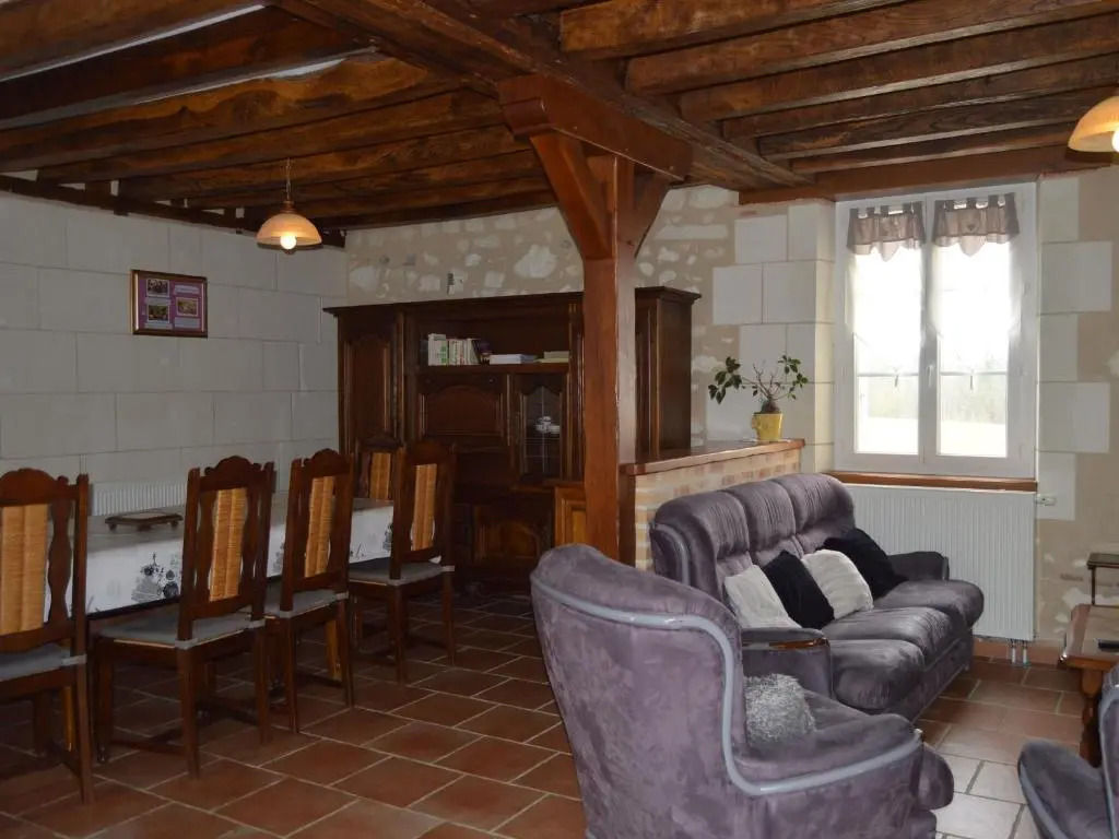 Gîte familial 12 pers. proche Valençay, ZooParc de Beauval et Châteaux de la Loire, parc arboré et jeux - FR-1-591-113