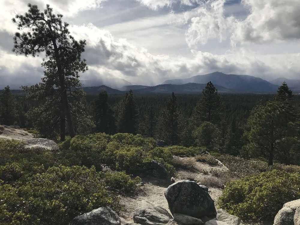 Book Now! 1 Min To Heavenly, 5 Min To Casinos & Lake! 4 Bedroom Cabin