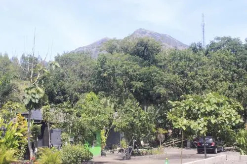 Lava Stone Hostel