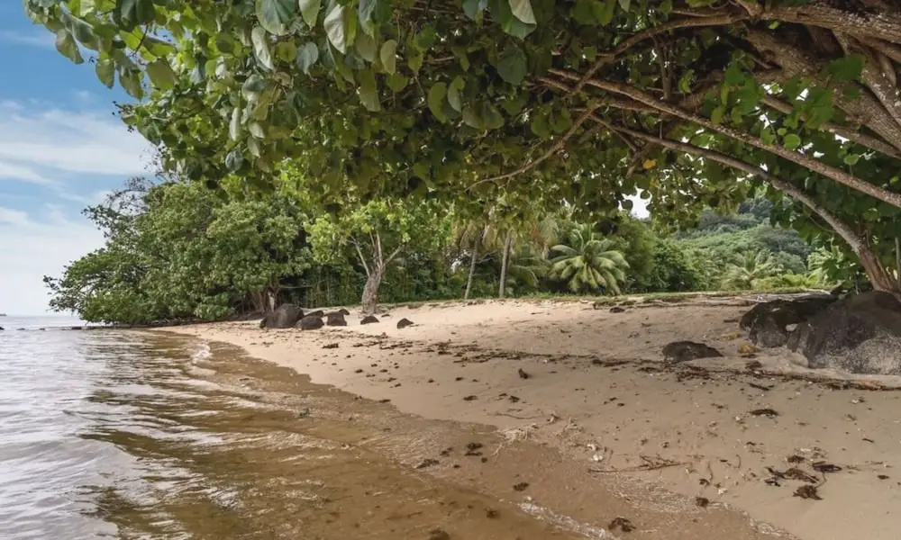 Seaside Paradise Retreat - 3BR House in Moorea