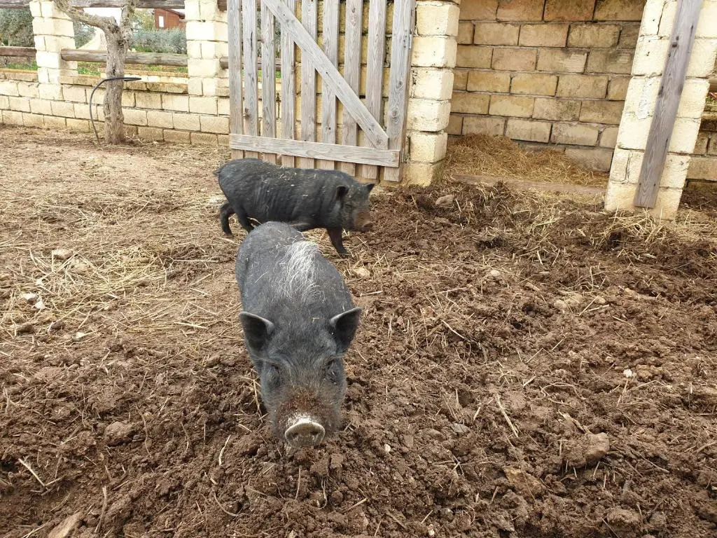 Agriturismo Duca di San Martino