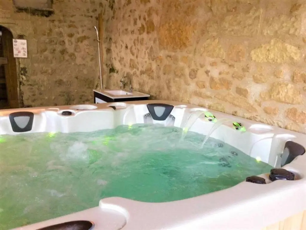 Élégante Demeure 17e avec Spa, Sauna et Authentique Cheminée, proche Châteaux de la Loire - FR-1-381-348