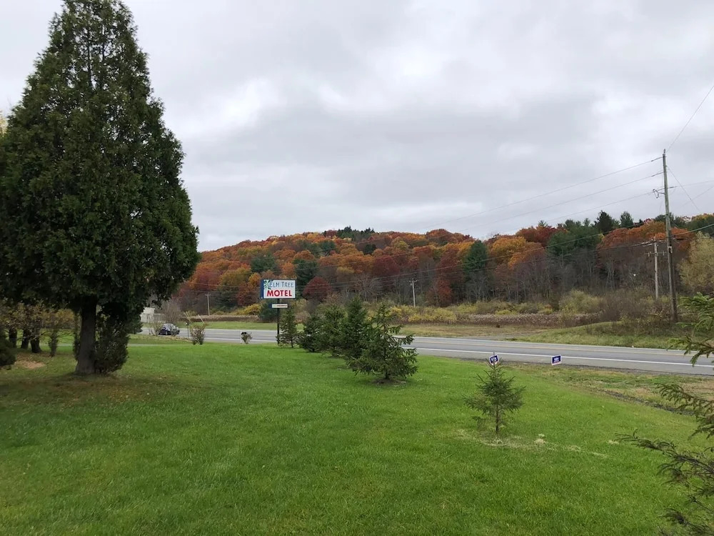 Elm Tree Motel