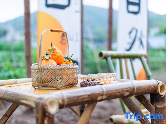 Shengsi Pushu • 18 mu B&B