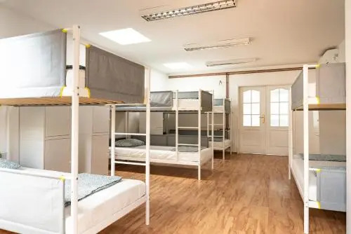 Wild Elephants Hostel