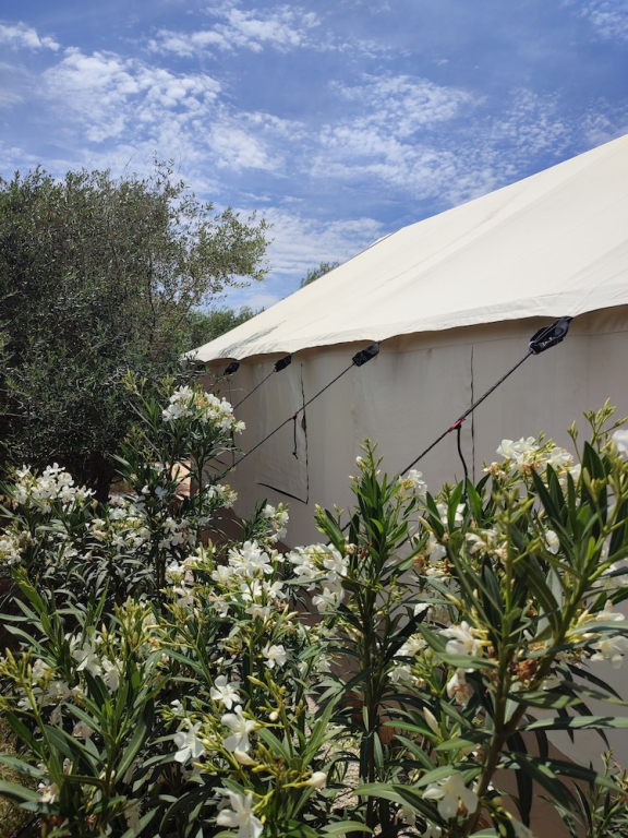 Tranquilo Glamping