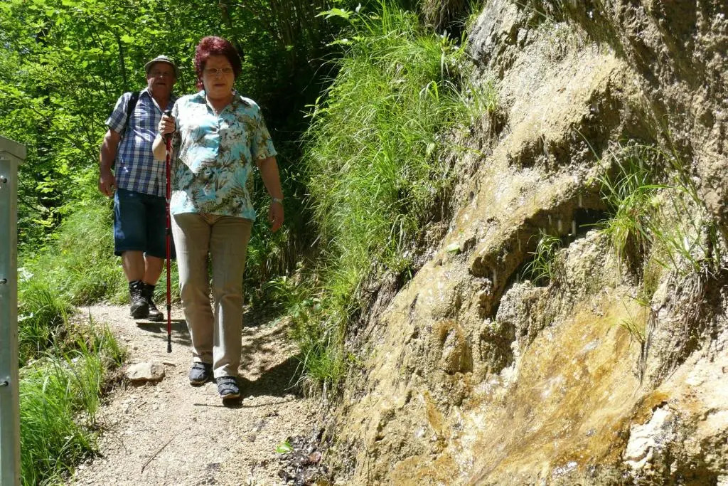 Gasthof Pension Alpenblick