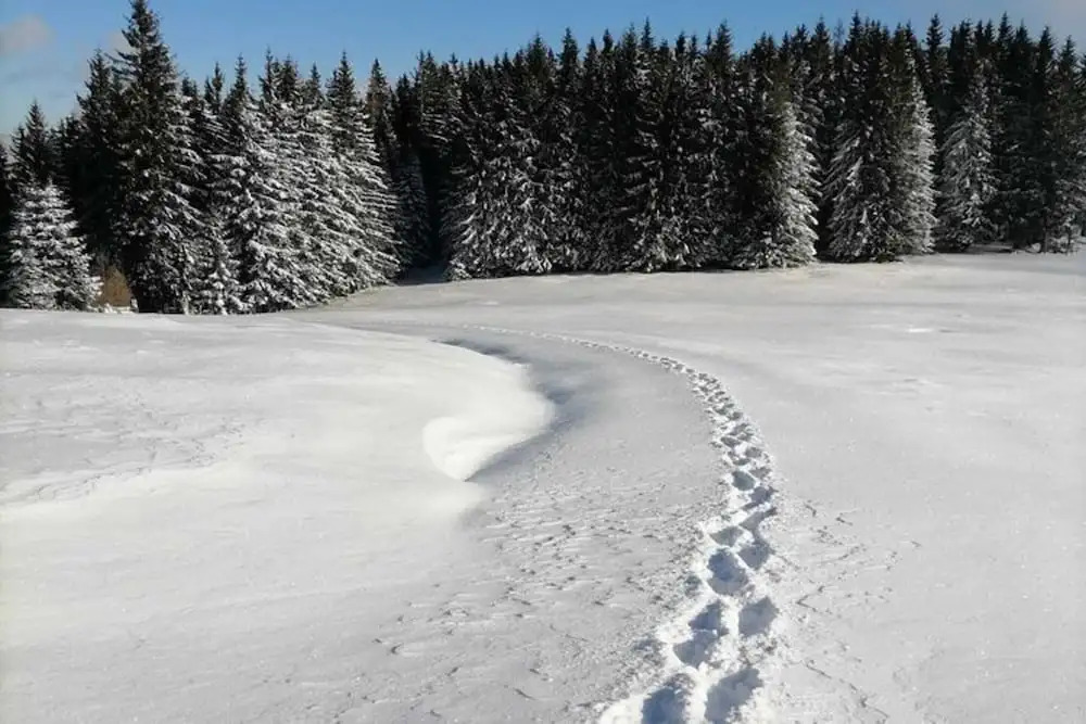 Ferienhaus in Prebl nahe Klippitztörl Skigebiet