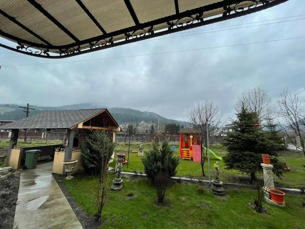 Casa cu Pitici