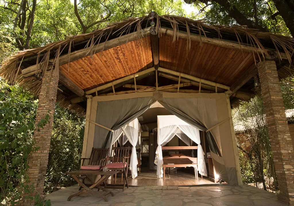 Fig Tree Camp - Maasai Mara