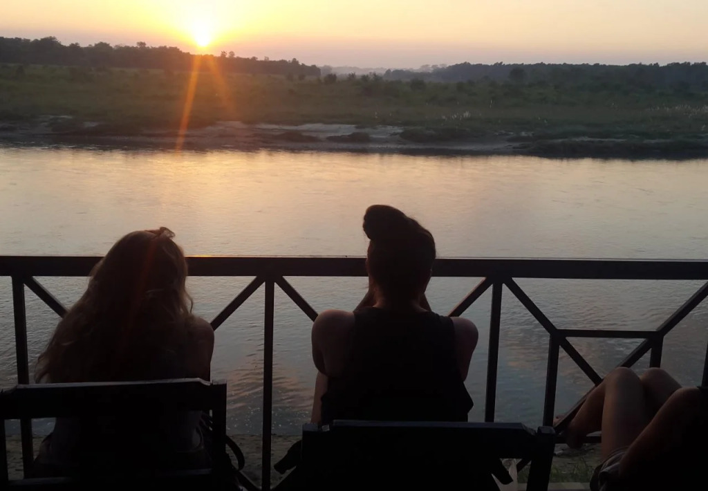 Jungle Wildlife Camp