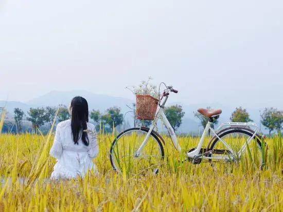 Joyful Lushi Hot Spring Resort