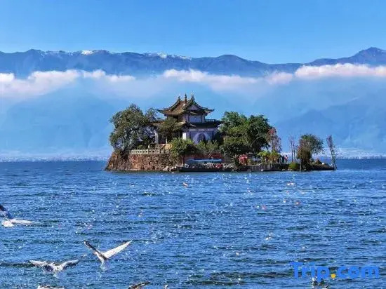 Dali Suhe Hotel· Erpan Wangcang Seascape Holiday B&B (Erhai Branch)