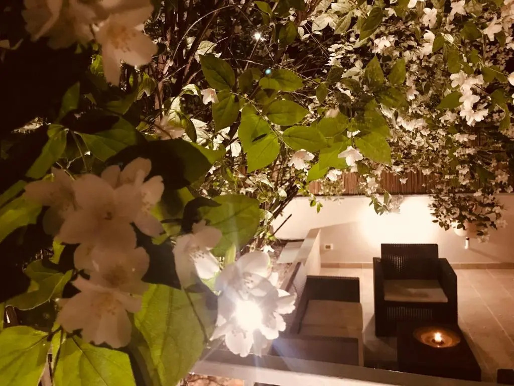 Aruna Suites