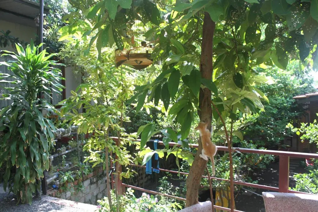 Mui Ne Garden Guest House Hostel