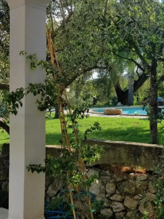The Olivestone Village - Yoga Retreat Paradise