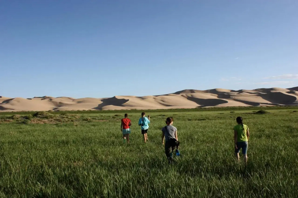 Golden Gobi Guesthouse & Tour