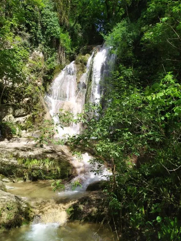 Brou-seillon : entre histoire et nature
