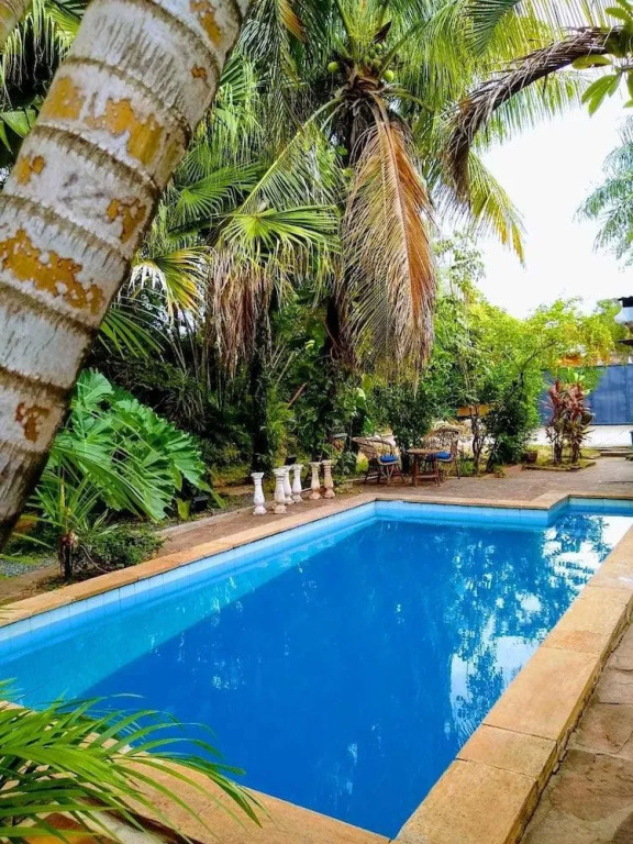 Patio Suizo.