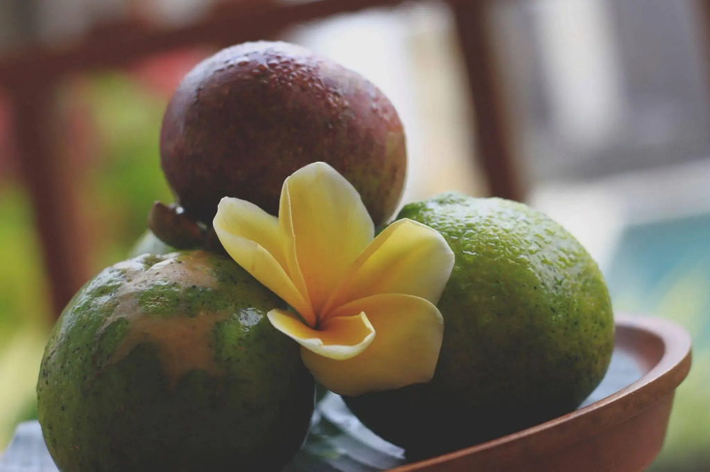 Puri Hari Resort and Villas