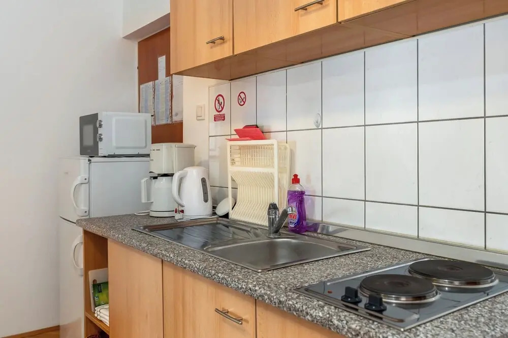 Apartment Vinko