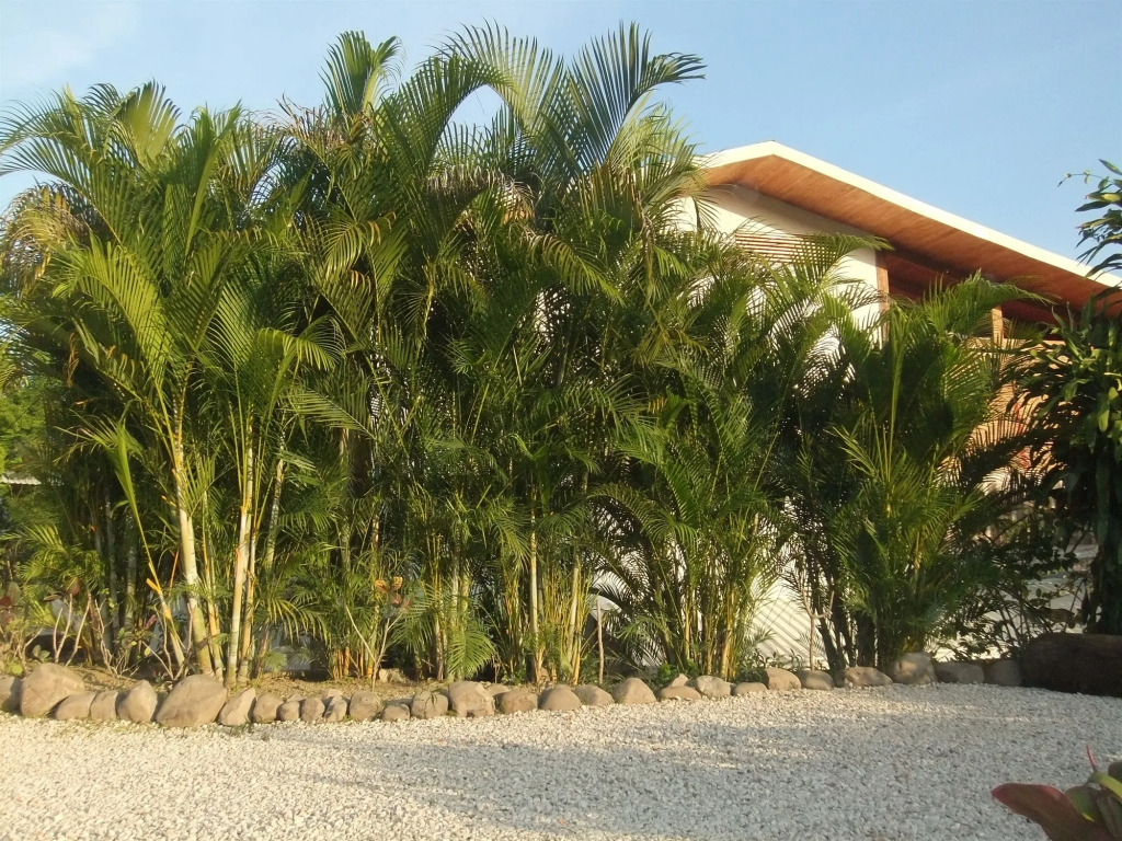 Vista Naranja Retreat