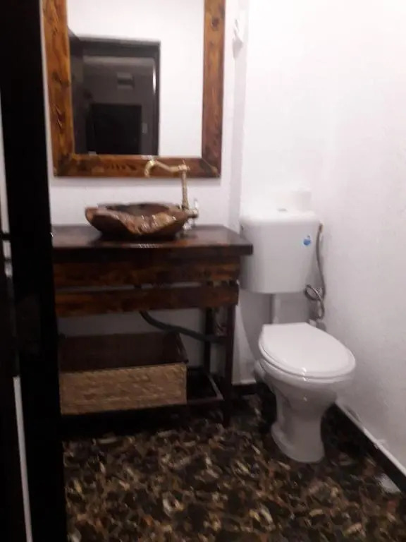 Unirii Ultracentral Apartament