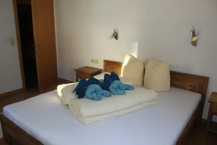 Smart Chalet Ladis