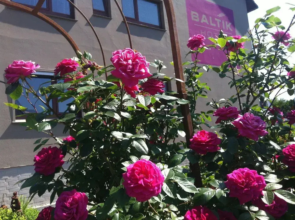 BALTIK Kunsthotel