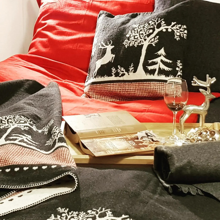 Vila Mojca SKI IN&OUT - Apartmaji Lena