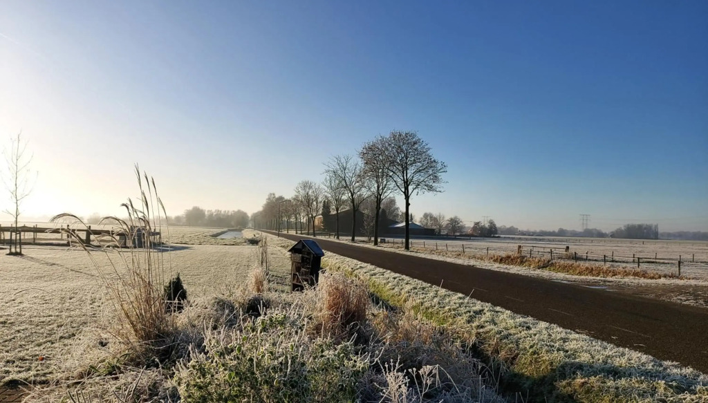 t Nieuwe Nest