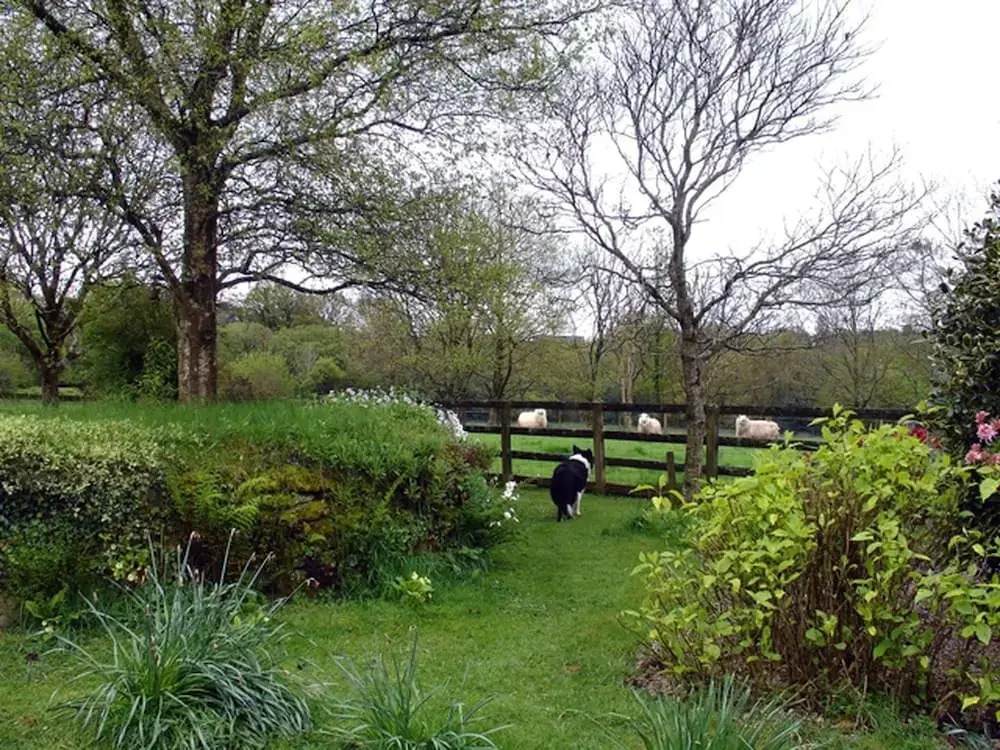 Burham Barn