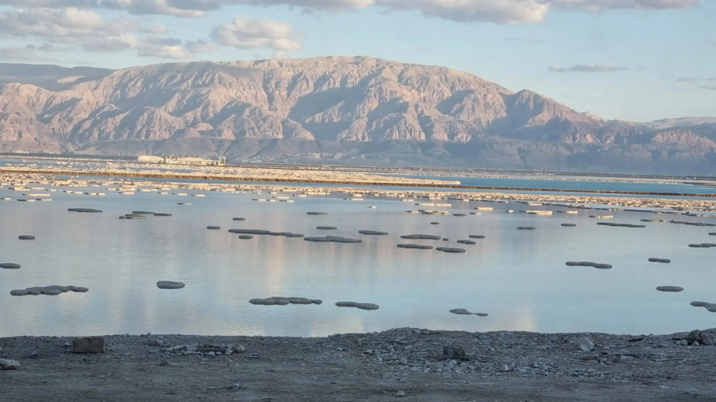 KING of the dead sea by CROWN
