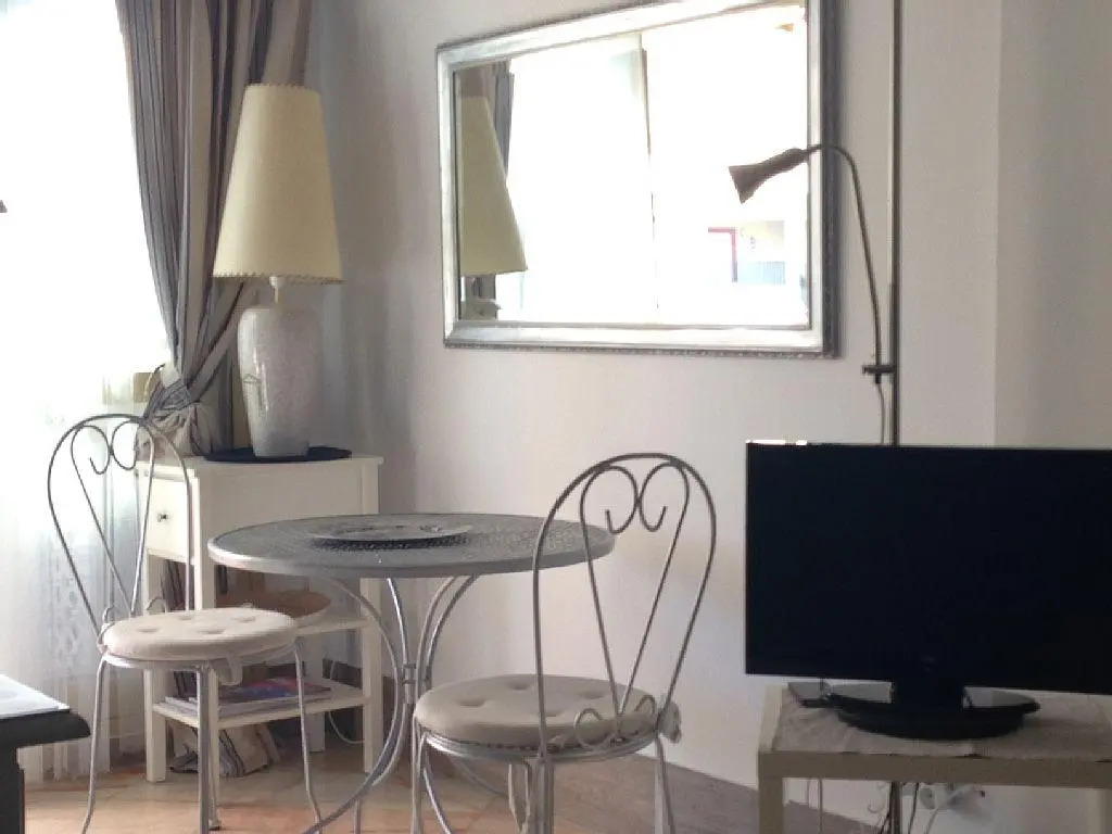Apartment in Marbella 100628