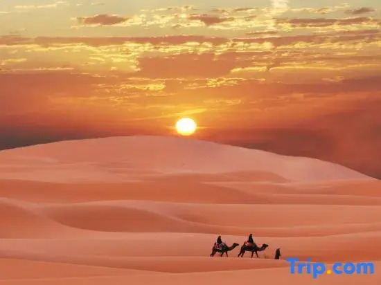 Tengger Desert Seeking Secret Camping Hotel