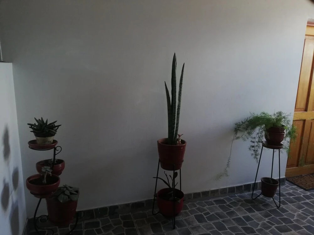 Bravo´s House