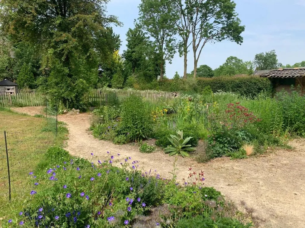 Túnhúske met tuin nabij Leeuwarden