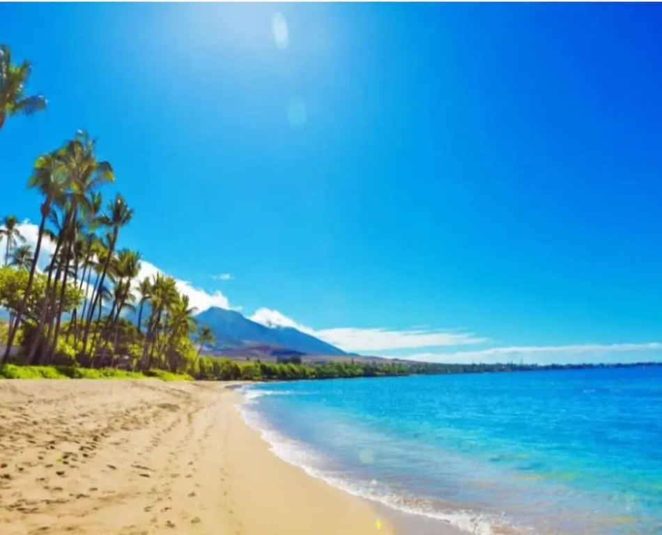 Private Waikiki Condos
