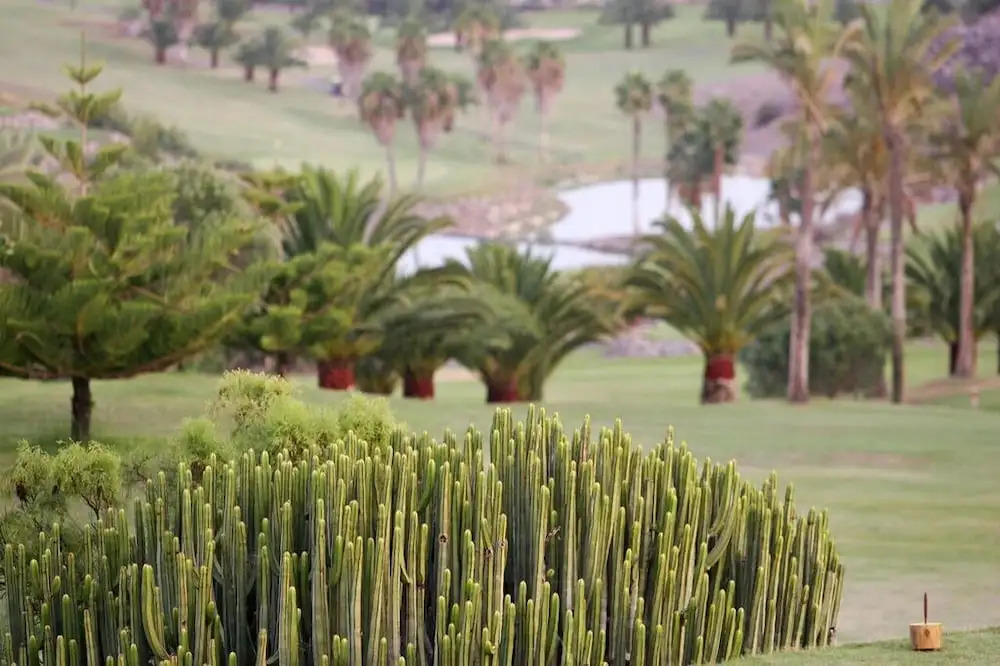 Villa in San B. de Tirajana, Gran Canaria 102867 by MO Rentals